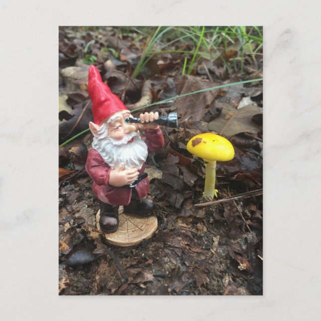 Postal Gnome del bosque de otoño (Anverso)