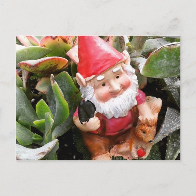 Postal Gnome escondido en los suculentos (Anverso)