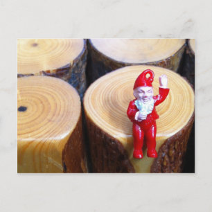 Postal Gnome "Hi" Postcard