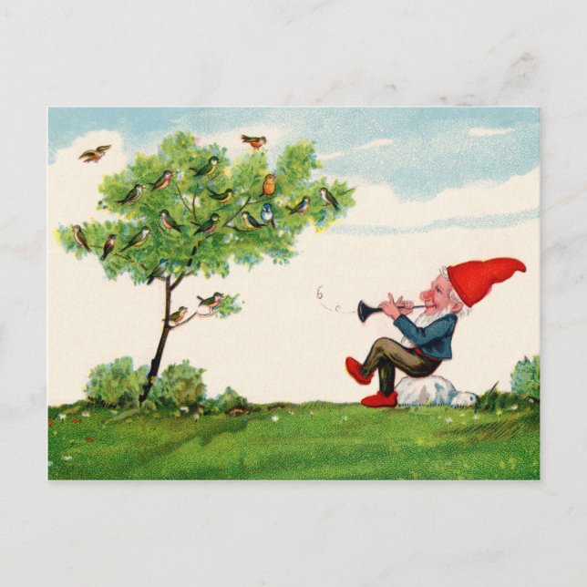 Postal Gnome Jugando Música para Aves Postcard (Anverso)
