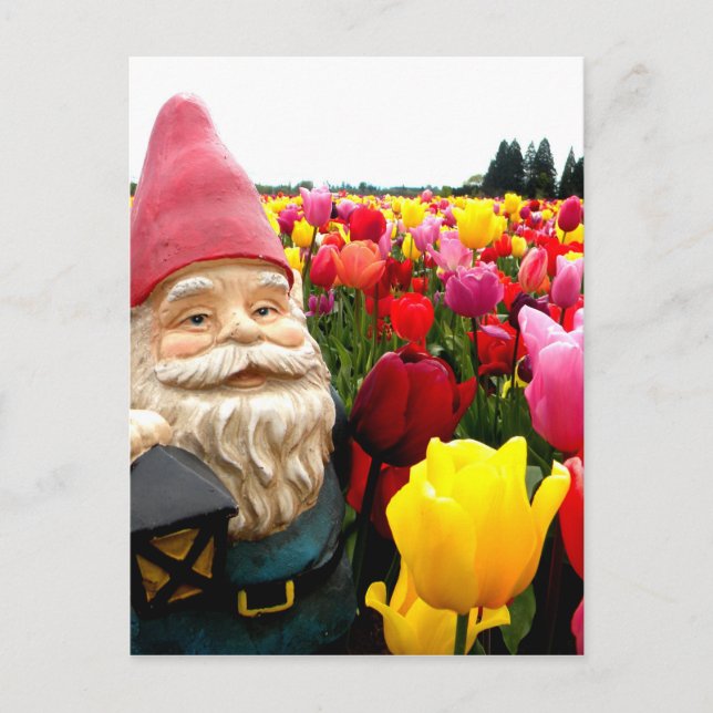 Postal Gnome Petals (Anverso)