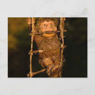 Postal gnomo de jardín