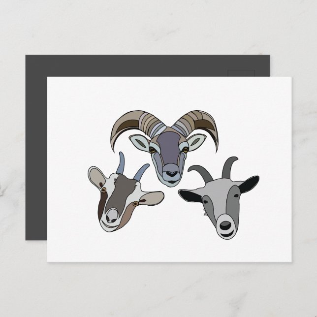 Postal Goat Animal Funny Goat (Anverso / Reverso)