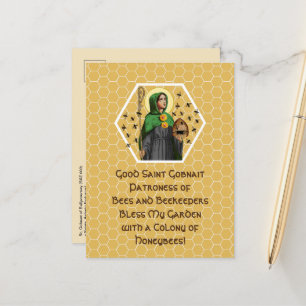 Postal Gobnait de Ballyvourney (SAE 003) Postcard