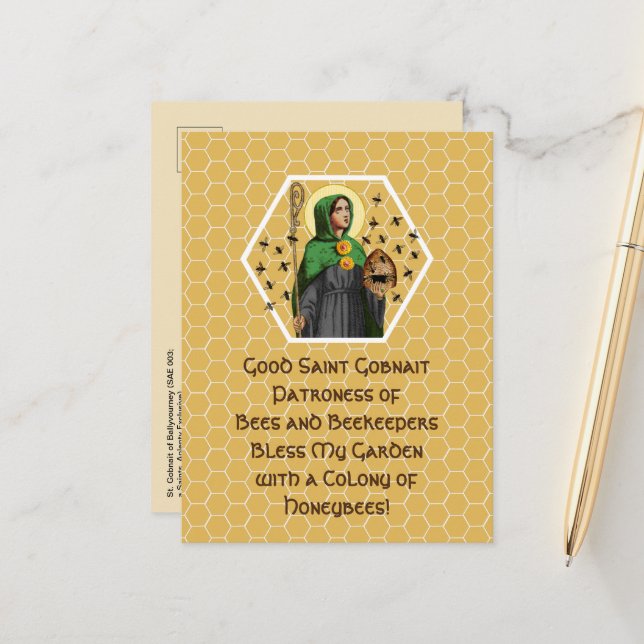 Postal Gobnait de Ballyvourney (SAE 003) Postcard (Anverso/Reverso In Situ)