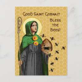 Postal Gobnait de Ballyvourney (SAE 003) Postcard