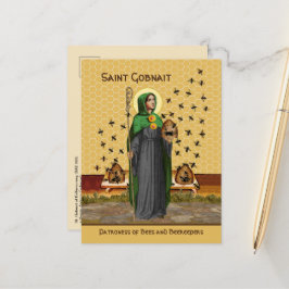 Postal Gobnait de Ballyvourney (SAE 003) Postcard