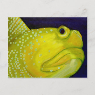 Postal Goby Fish