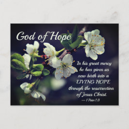 Postal God of Hope Cherry Blossoms Easter