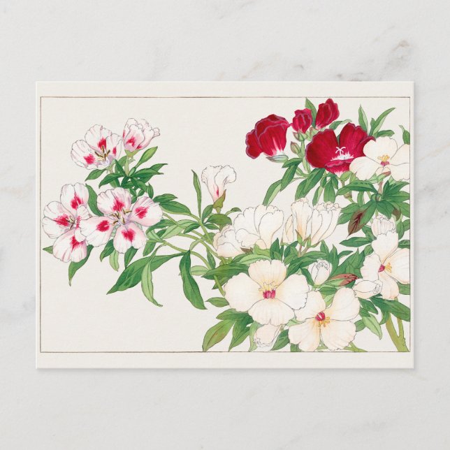 Postal Godetia por Tanigami Konan (Anverso)