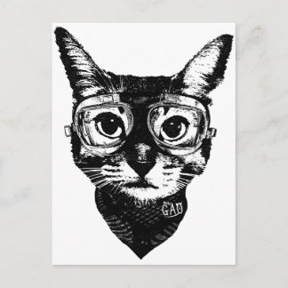Postal Goggles Cat
