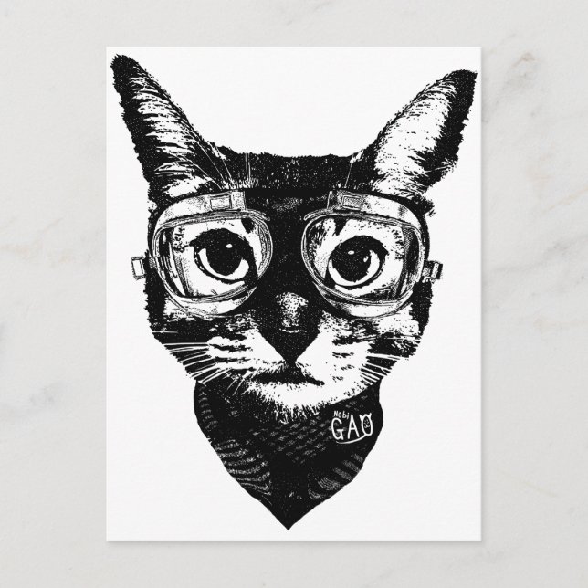 Postal Goggles Cat (Anverso)