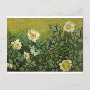 Postal Gogh Rosas salvajes Flores florecen Vines Arte Vin