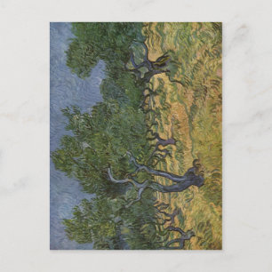 Postal Gogh, Vincent van Olivenhain 1889 Técnica ?l auf