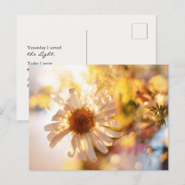Postal Golden daisy with universal spiritual message