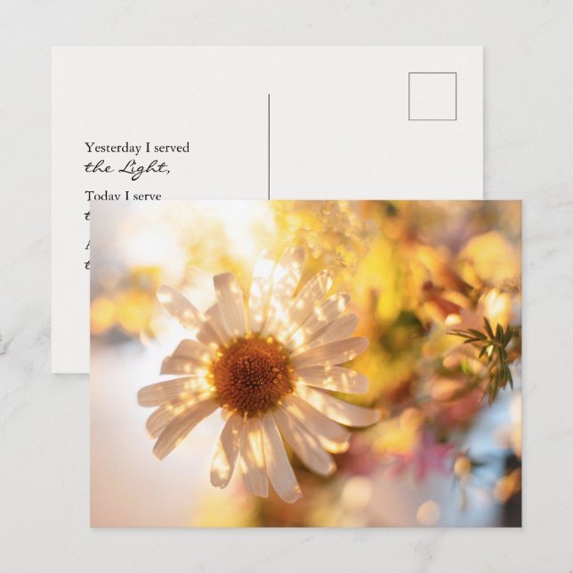 Postal Golden daisy with universal spiritual message (Anverso / Reverso)