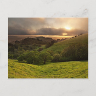 Postal Golden Foggy Sunset, California