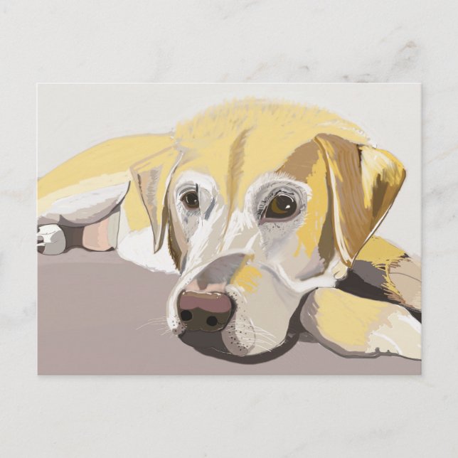 Postal Golden Labrador (Anverso)