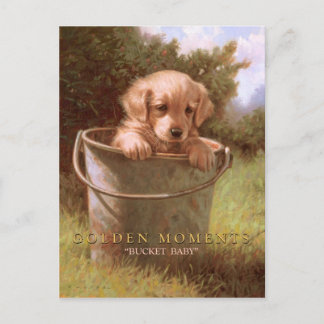 POSTAL GOLDEN MOMENTOS