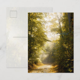 Postal Golden Morning park, Original Fine Art Photograph