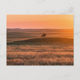 Postal Golden Prairie Party Invitation - Classic Western 