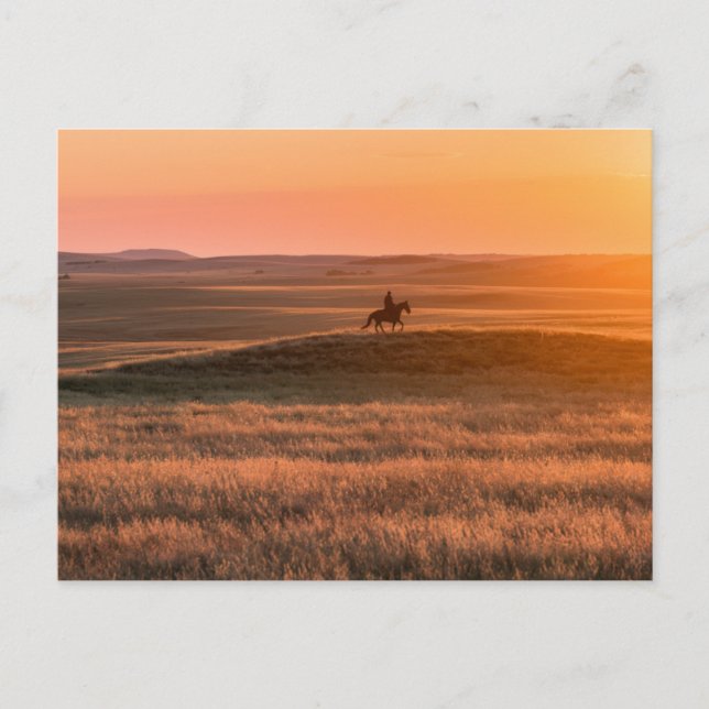 Postal Golden Prairie Party Invitation - Classic Western  (Anverso)