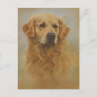 Postal Golden Retriever