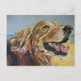 Postal Golden Retriever