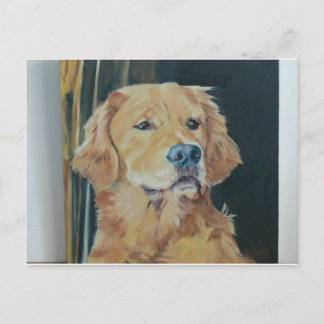 Postal Golden Retriever