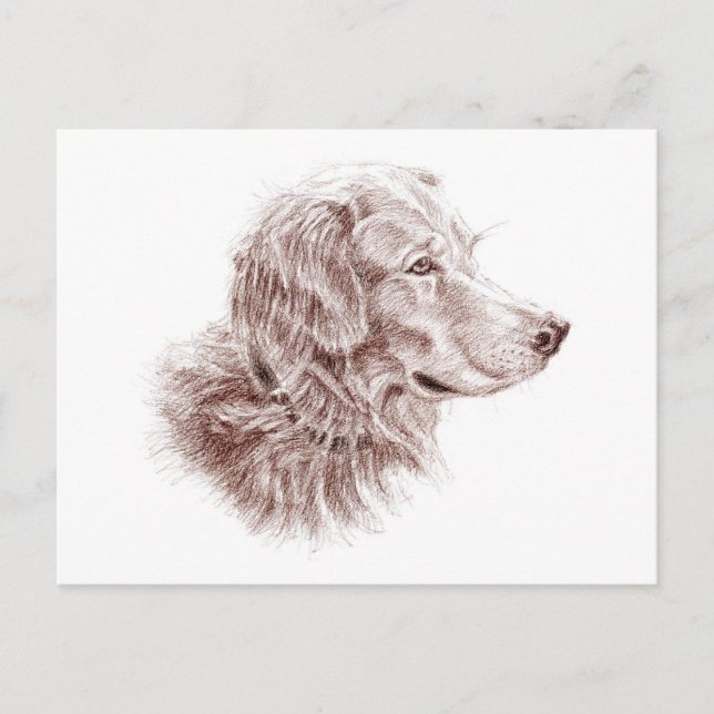 Postal Golden Retriever (Anverso)