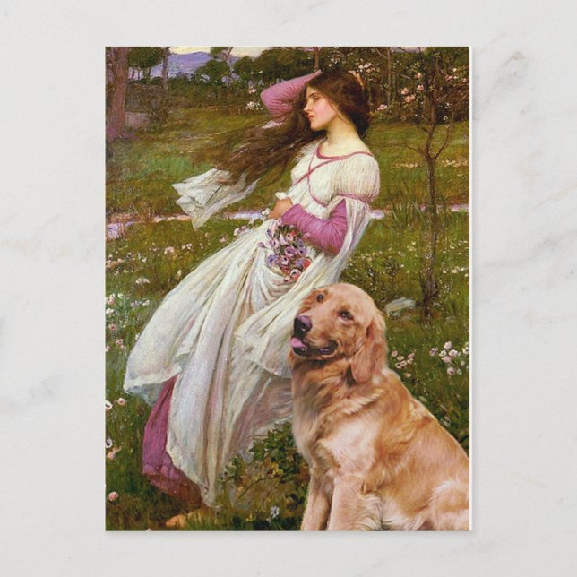 Postal Golden Retriever 1 - Flores de viento (Anverso)