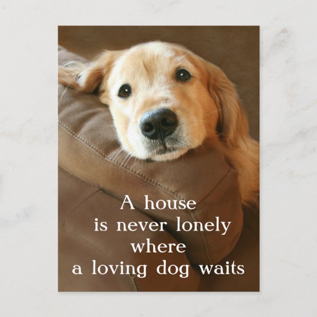 Postal Golden Retriever A House Is Never Lonely (Anverso)