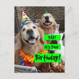 Postal Golden Retriever Aleluya Es Tu Cumpleaños