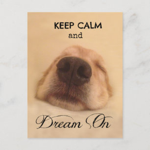 Postal Golden Retriever Calm Dream On