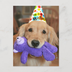 Postal Golden Retriever con sombrero de Feliz Cumpleaños 