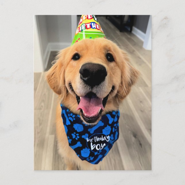 Postal Golden Retriever con sombrero y bandana de cumplea (Anverso)
