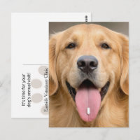 Golden Retriever con una pastilla
