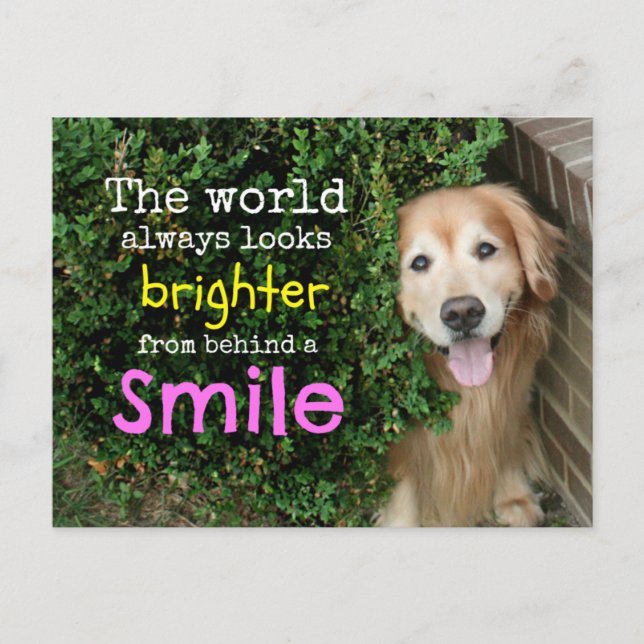 Postal Golden Retriever Detrás De Una Sonrisa (Anverso)