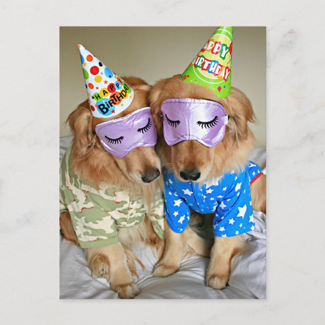Postal Golden Retriever en Pajamas Birthday (Anverso)