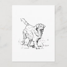 Golden Retriever Feliz, Personalizado
