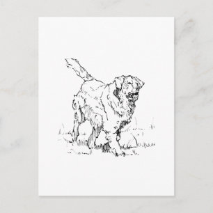 Postal Golden Retriever Feliz, Personalizado