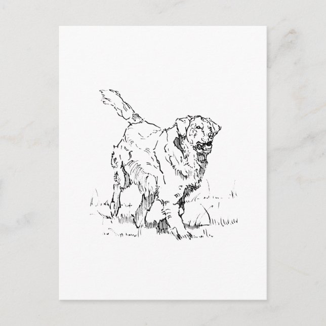 Postal Golden Retriever Feliz, Personalizado (Anverso)