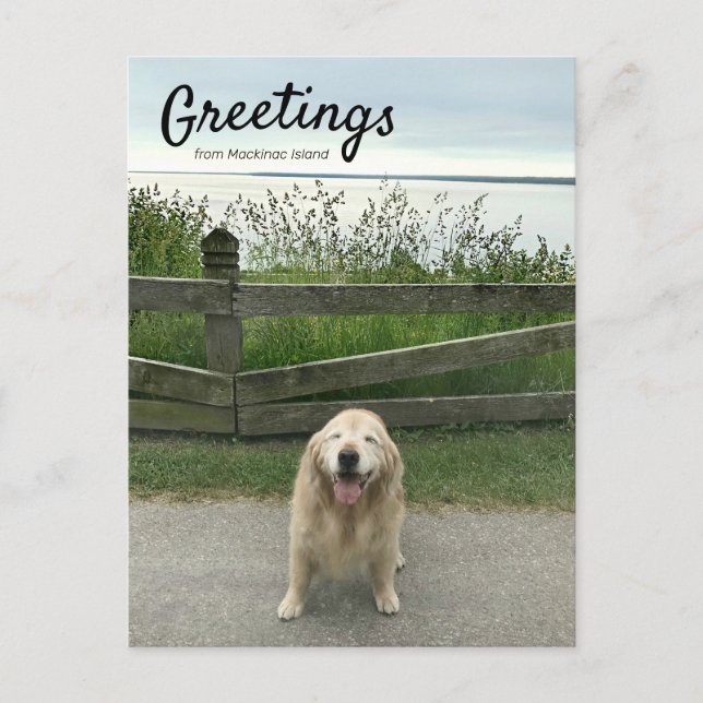 Postal Golden Retriever Greetings from Mackinac Island (Anverso)