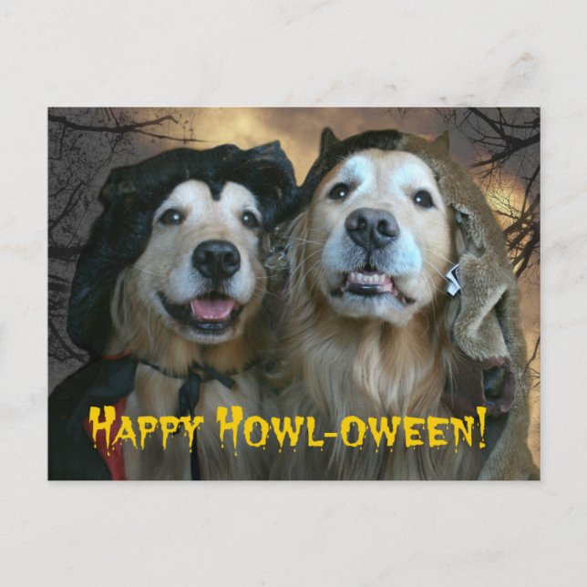 Postal Golden Retriever Happy Howl-oween (Anverso)