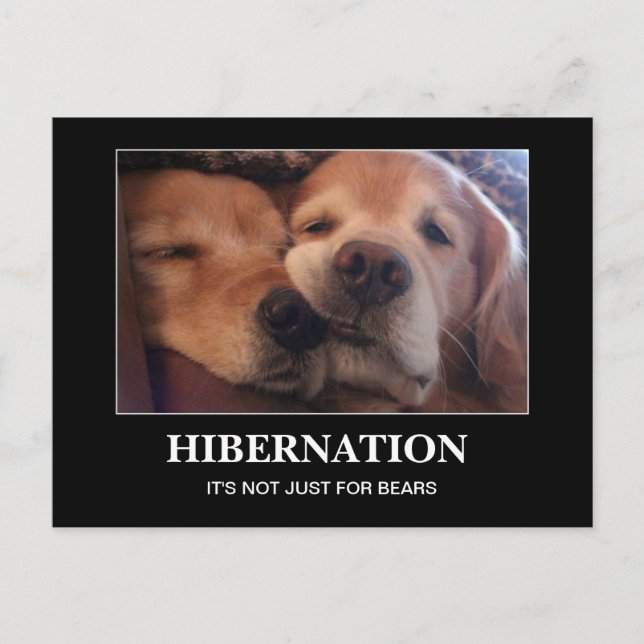 Postal Golden Retriever Hibernation Stay Warm (Anverso)