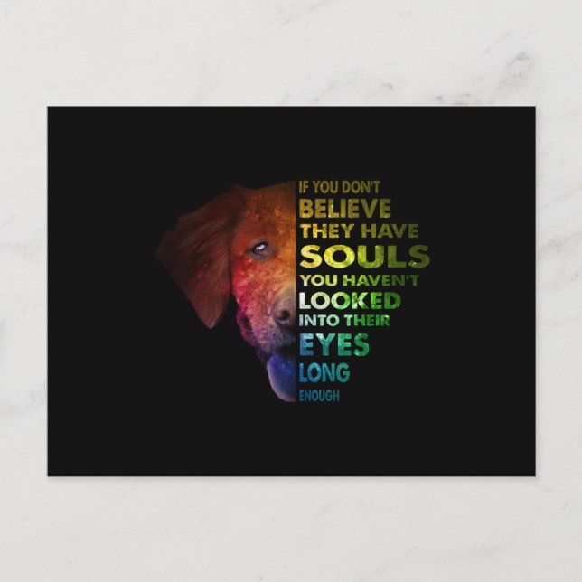 Postal Golden Retriever miró sus ojos lo suficiente (Anverso)