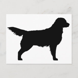Postal Golden Retriever (negro)