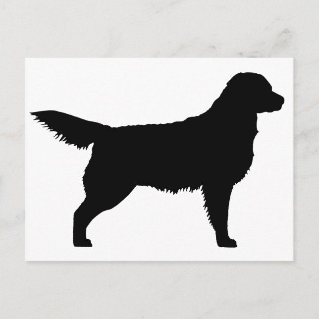 Postal Golden Retriever (negro) (Anverso)