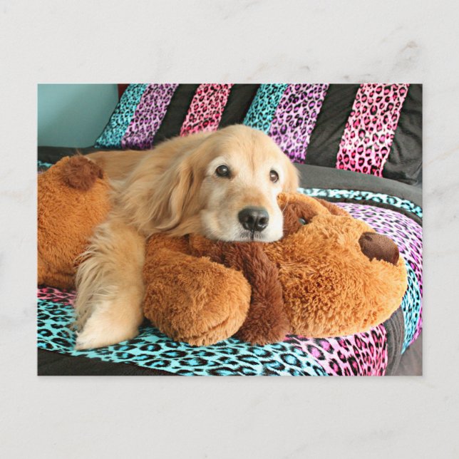 Postal Golden Retriever on Bed Miss You (Anverso)
