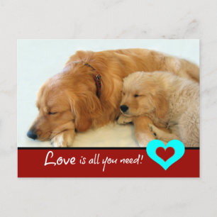 Postal Golden Retriever Puppy Love